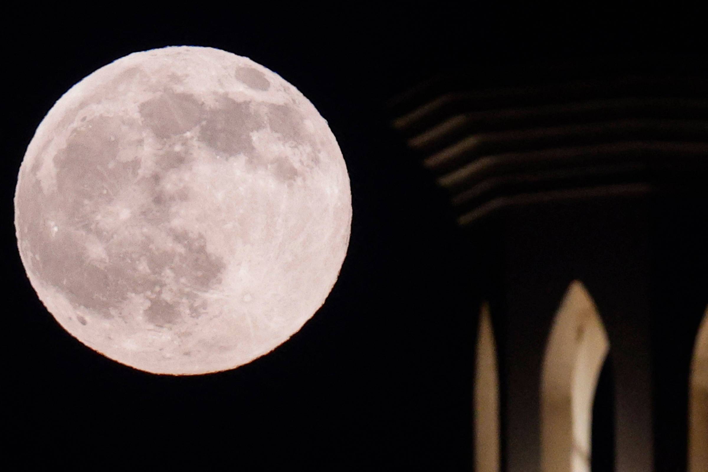 Lua do caçador: a Lua cheia desta segunda (26) acerta as contas antes do fim do ano