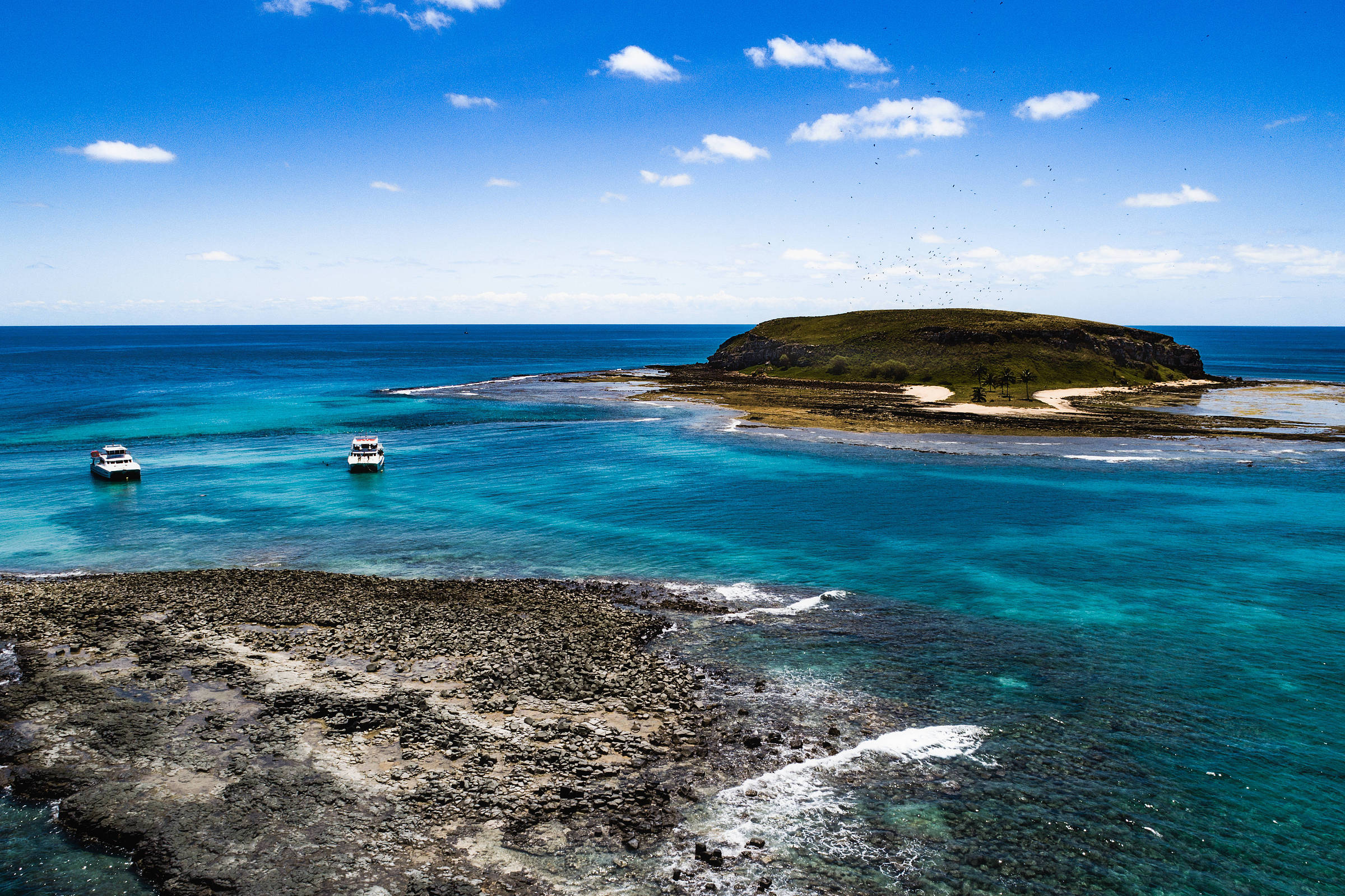 Áreas protegidas na região de Abrolhos geram 29 mil empregos e R$ 536 milhões em renda, diz estudo