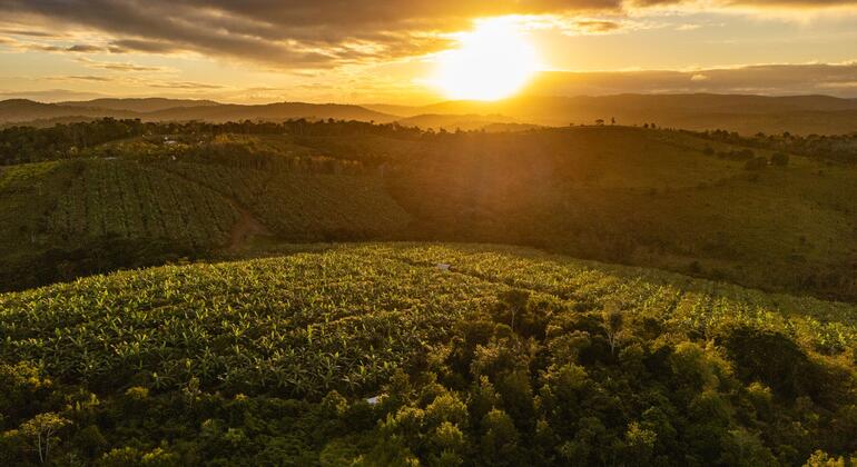 Parceria do Banco Mundial com a Bahia fortalece geração de empregos