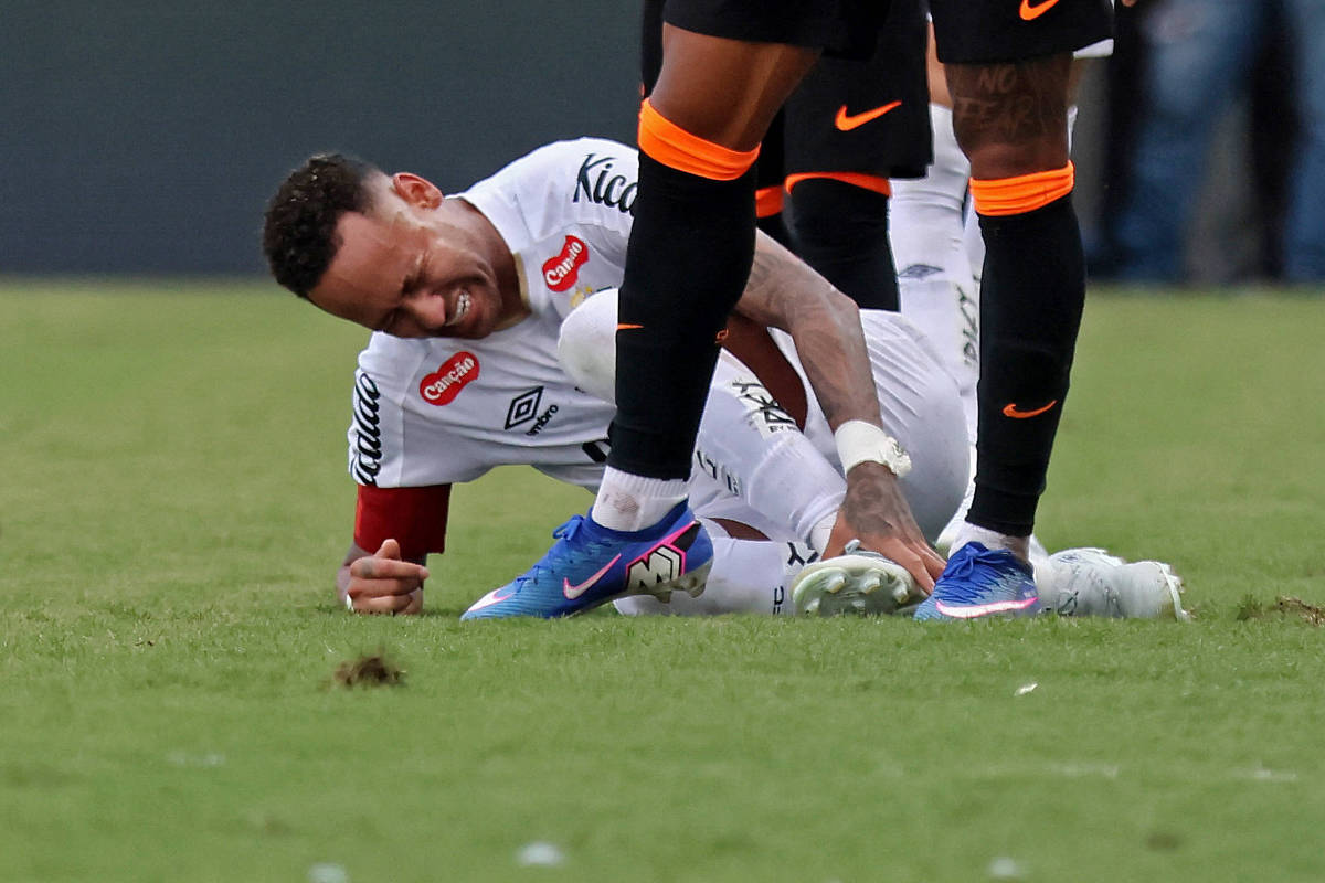 A mãe de Sua Senhoria