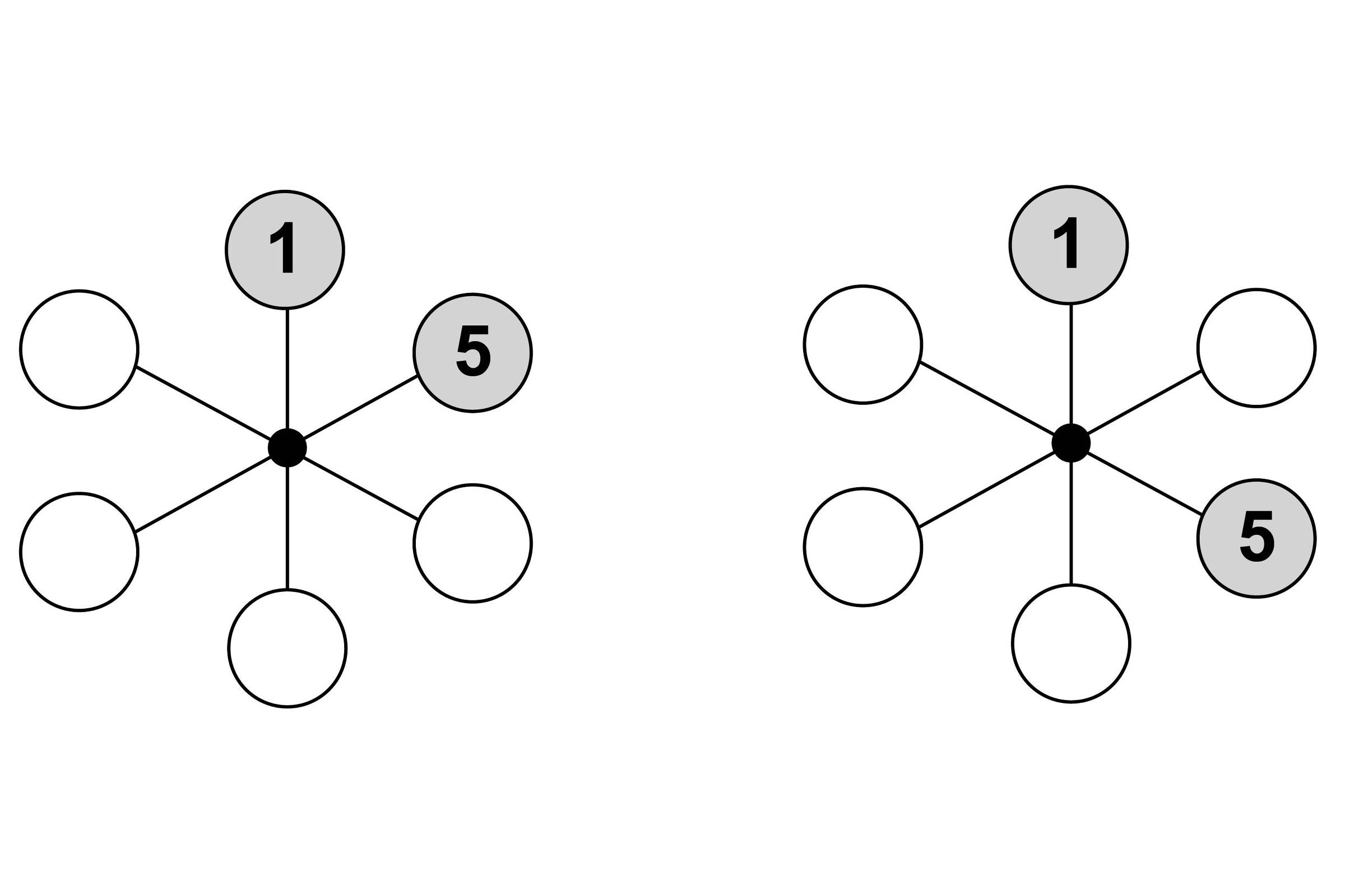 Desafio de matemática: roda numérica