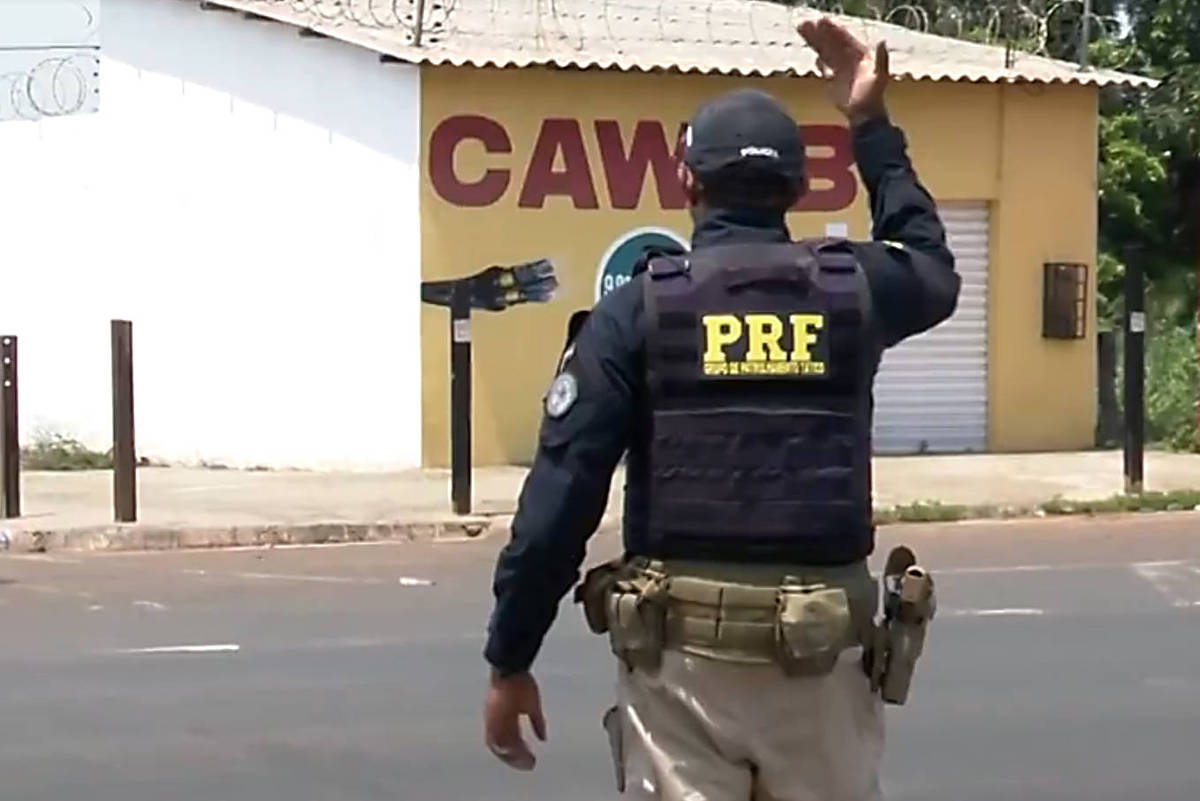 Caça ilegal deixa rastros nas rodovias e acelera empobrecimento da fauna brasileira