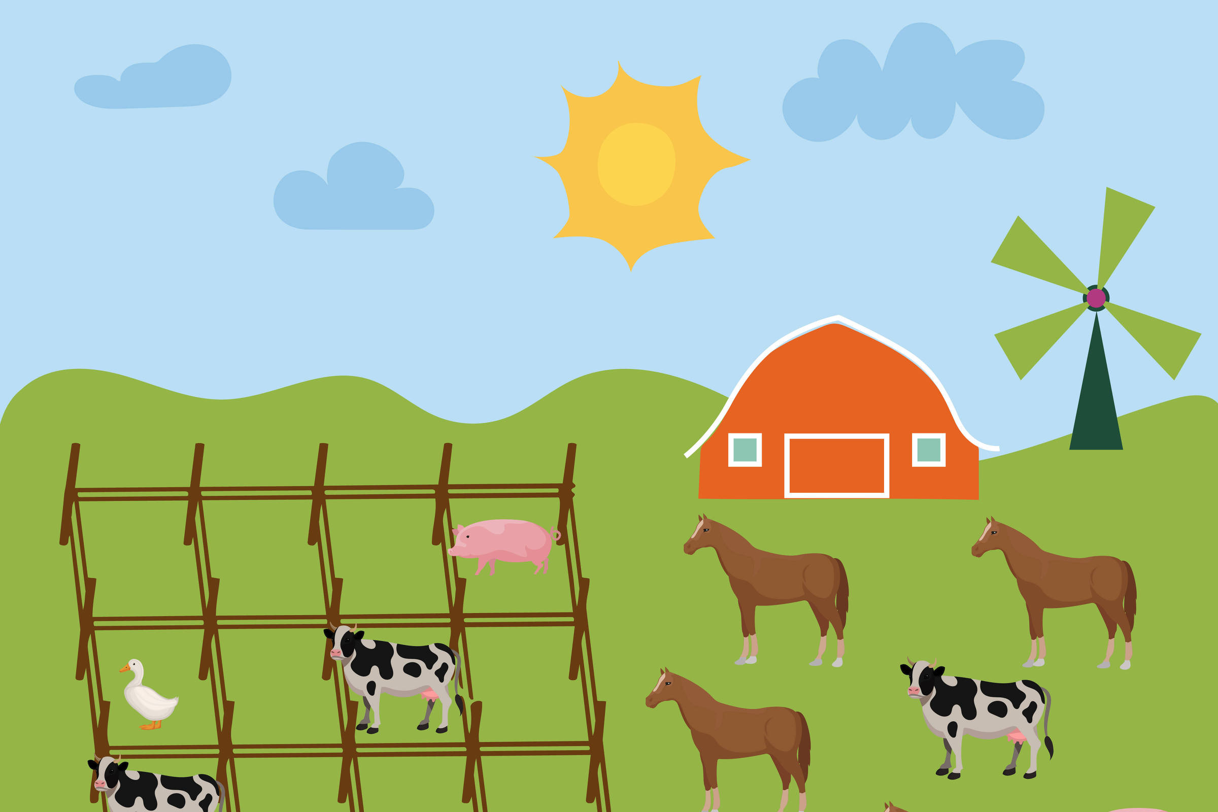 Desafio de matemática: organizando o curral 2