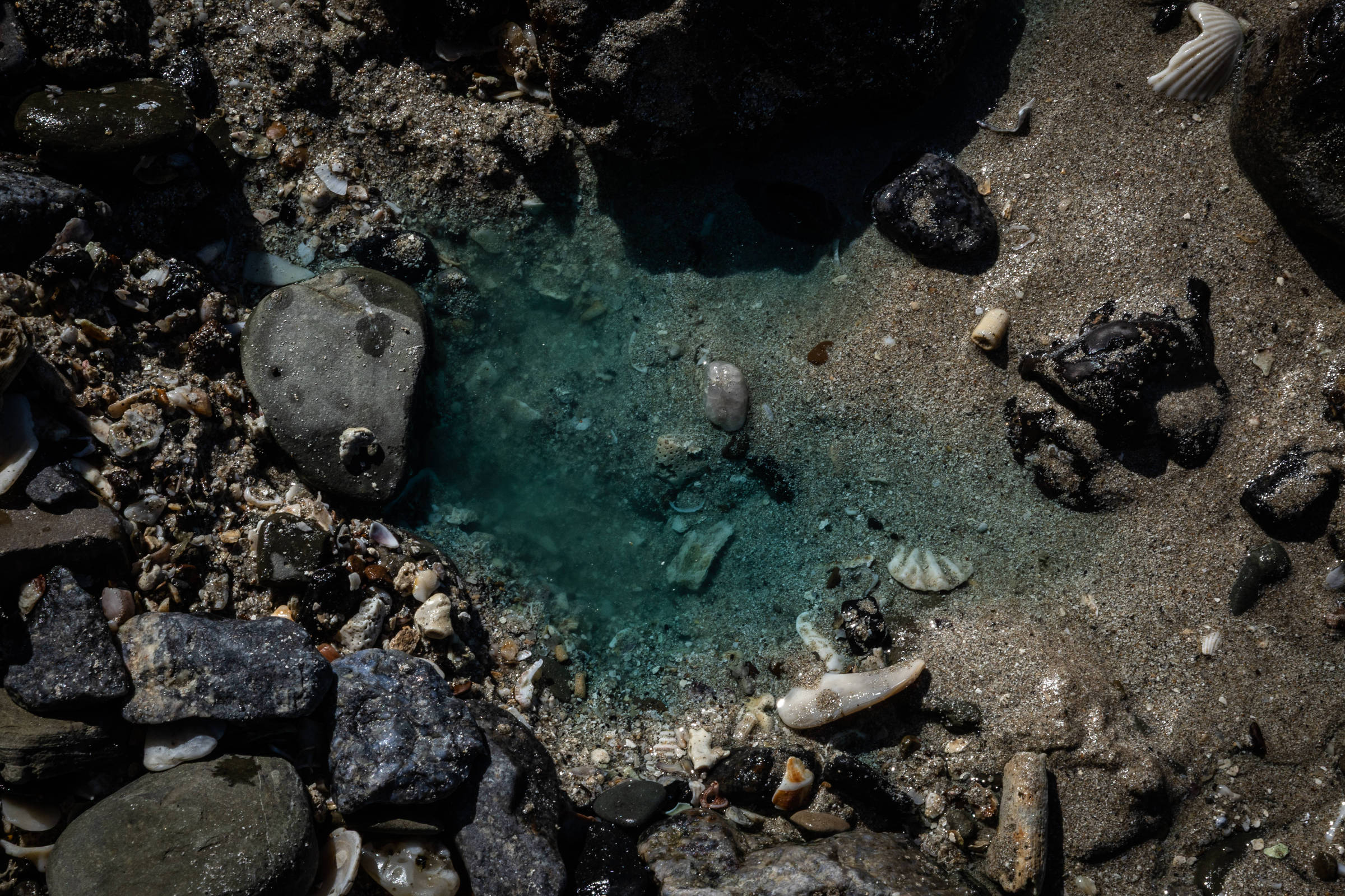 Contaminação química atinge praia, afeta pesca e põe comunidade em alerta na Bahia