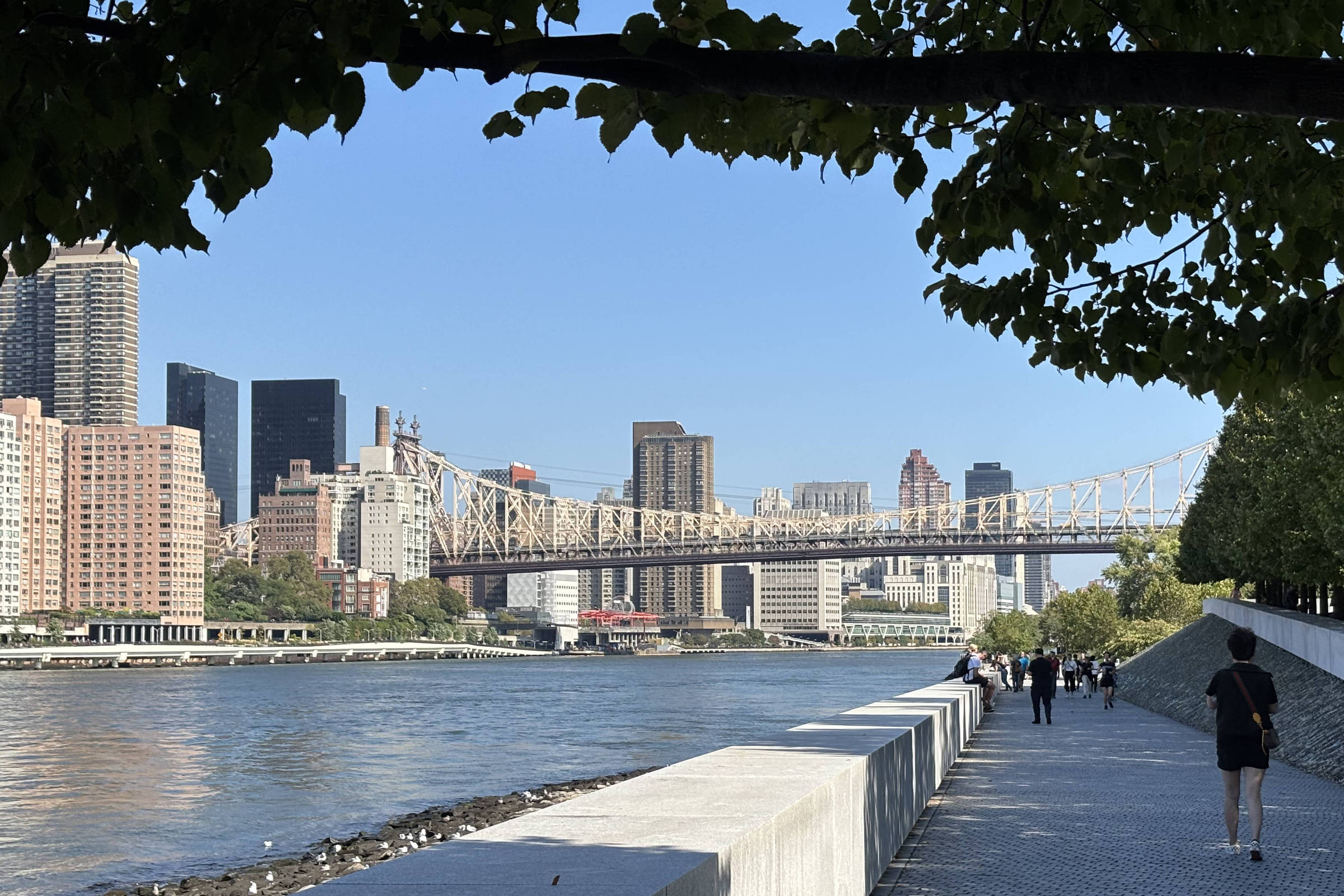 Nova York tem passeios gratuitos (ou quase) para curtir sem gastar tanto