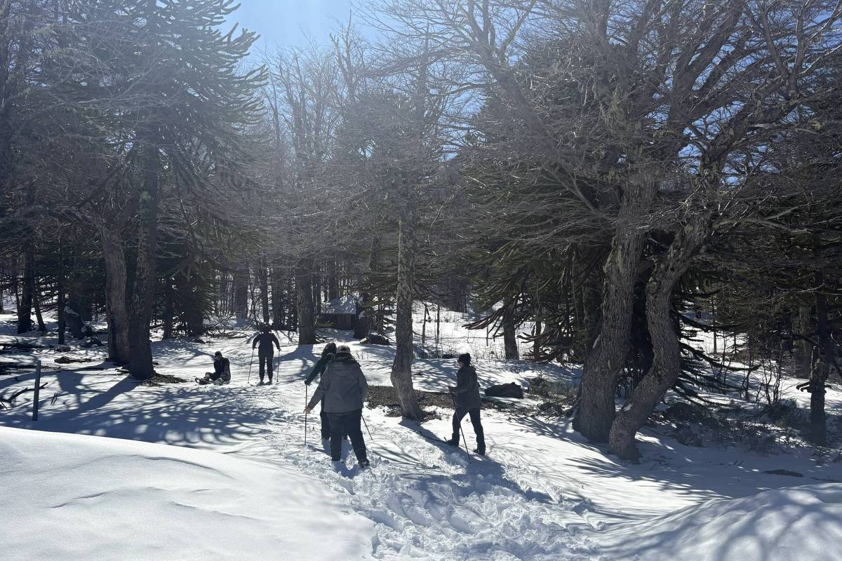 Araucanía, no Chile, convida viajantes adesacelerar em meio aos vulcões e à neve