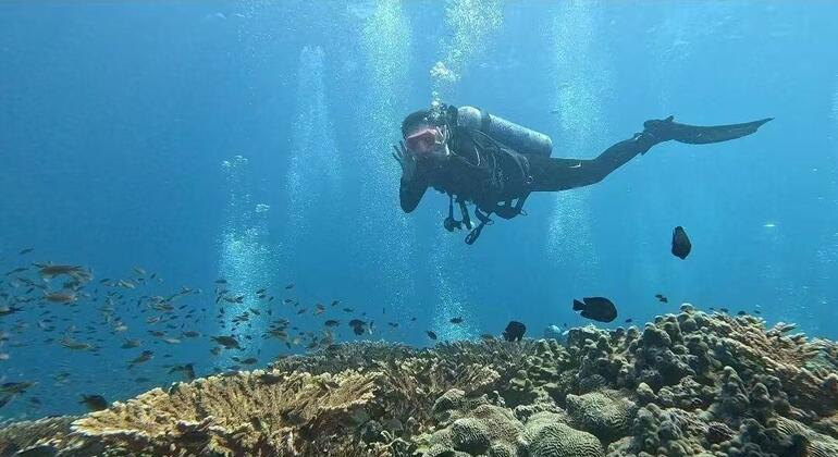 Relatório da ONU revela que oceanos estão mais elevados, aquecidos e poluídos